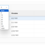 Customizing the Oracle APEX Interactive Grid Toolbar: Adding a “Rows Per Page” Selector with a Static Label